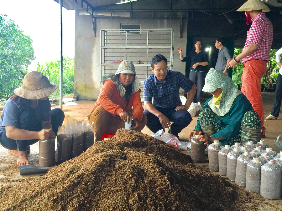 Phát huy vai trò của các cấp Hội Nông dân Việt Nam trong việc nâng cao chất lượng, hiệu quả đào tạo nghề cho lao động nông thôn