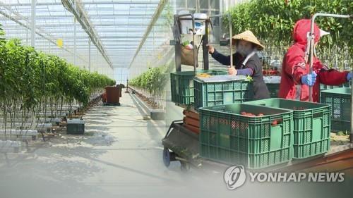 Lao động Việt Nam được gia hạn lưu trú thêm 1 năm tại Hàn Quốc