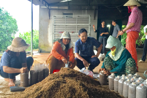 Phát huy vai trò của các cấp Hội Nông dân Việt Nam trong việc nâng cao chất lượng, hiệu quả đào tạo nghề cho lao động nông thôn