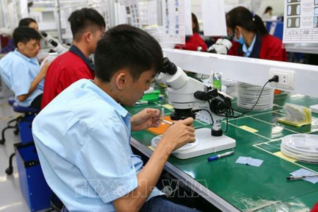 Tổng cục GDNN hợp tác với Hàn Quốc đào tạo nghề cho người lao động yếu thế