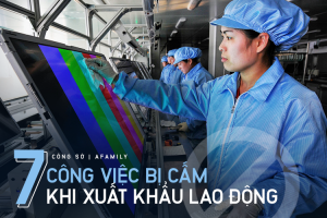 7 loại hình nghề nghiệp người Việt Nam không được làm khi xuất khẩu lao động từ ngày 20/5