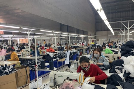 Hòa Bình: Khoảng 5.000 lao động được giải quyết việc làm