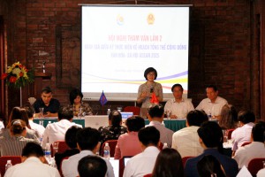 Tham vấn đánh giá giữa kỳ thực hiện Kế hoạch tổng thể Cộng đồng Văn hóa – Xã hội ASEAN 2025