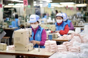 Thị trường lao động TP.HCM những tháng cuối năm như thế nào?