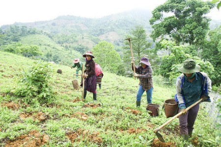 Hà Nội hỗ trợ 670 hộ đồng bào dân tộc thiểu số thoát nghèo