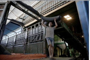 Đảm bảo an toàn, vệ sinh lao động trong chuỗi cà phê