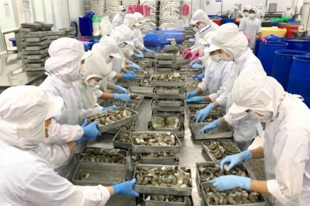6 tháng đầu năm 2021: Bạc Liêu ước giải quyết việc làm cho trên 13 nghìn lao động
