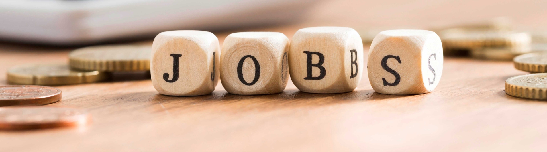 Tổ chức của những tổ chức, công dân Việt  hoạt động trong lĩnh vực giáo dục nghề nhiệp